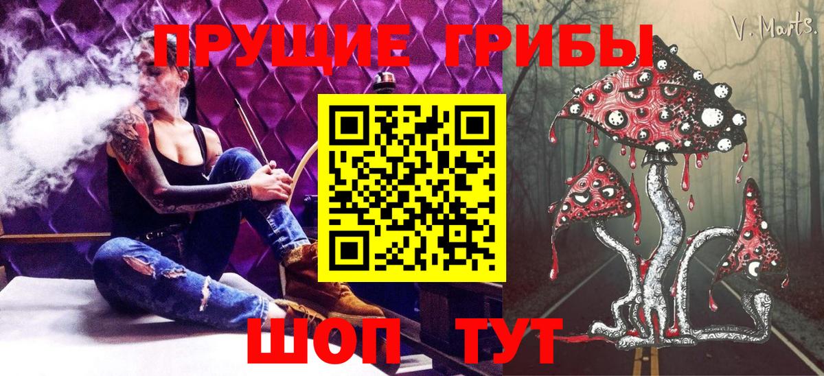Галлюциногенные грибы мицелий  Вход с VPN  Галлюциногенные грибы Psilocybine cubensis  Сафоново 